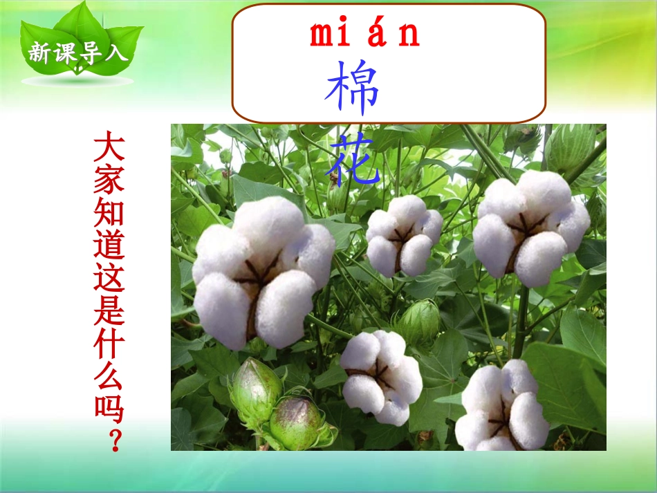 一年级语文下册第八组30棉花姑娘第一课时课件_第2页