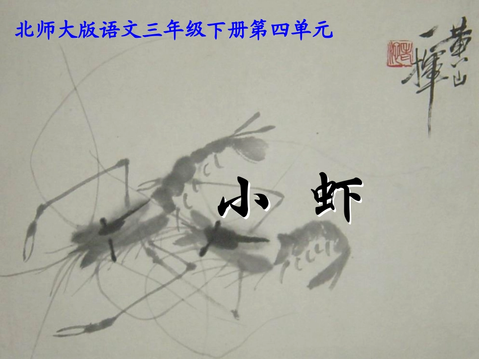 北师大版三年级语文下册《小虾》PPT课件_第1页