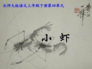 北师大版三年级语文下册《小虾》PPT课件