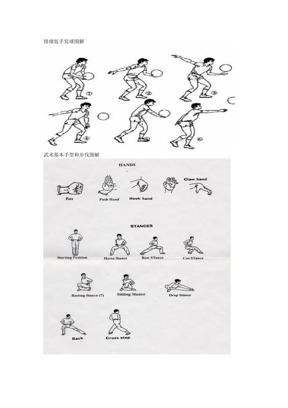 体育项目图解_第2页