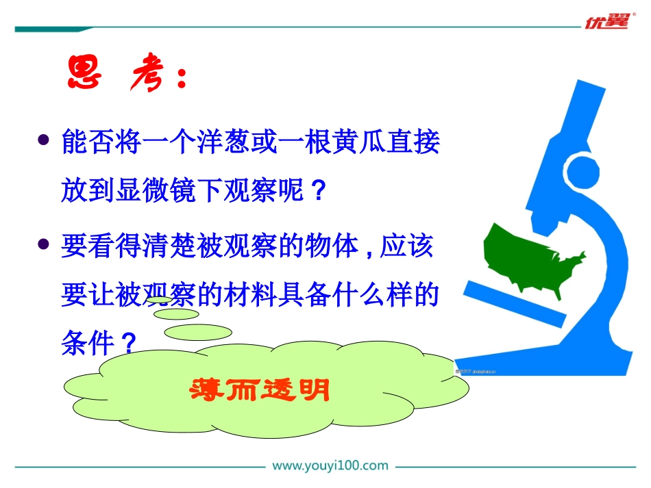 2.第二节  植物细胞_第2页