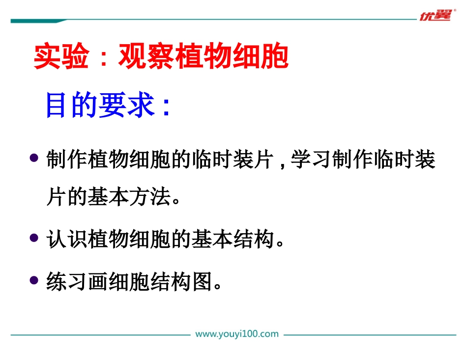 2.第二节  植物细胞_第3页