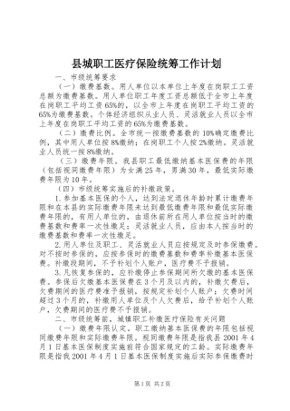 县城职工医疗保险统筹工作计划