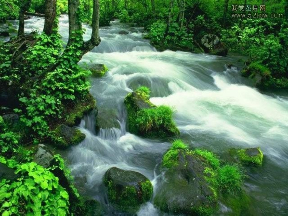 《短文两篇：答谢中书书、记承天寺夜游》ppt课件_第2页