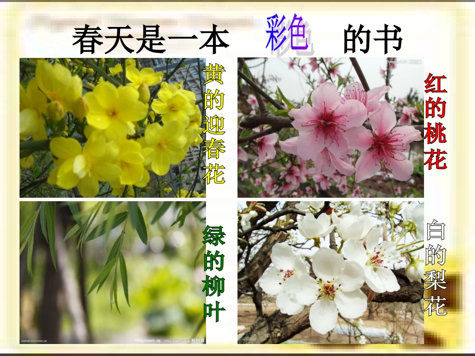 大班诗歌《春天》_第3页