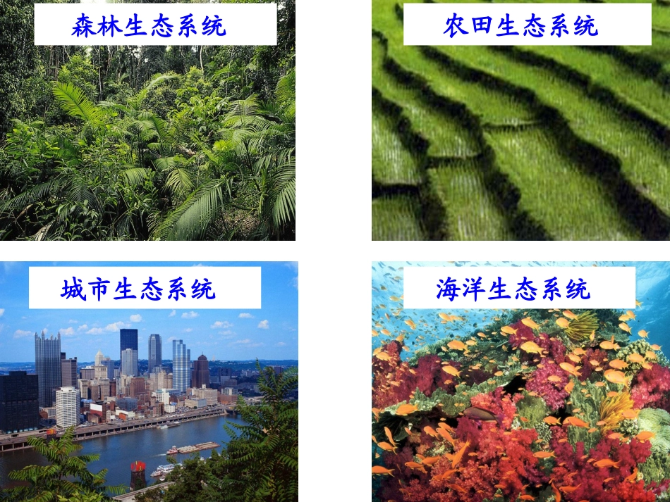《生态系统》PPT课件_第2页