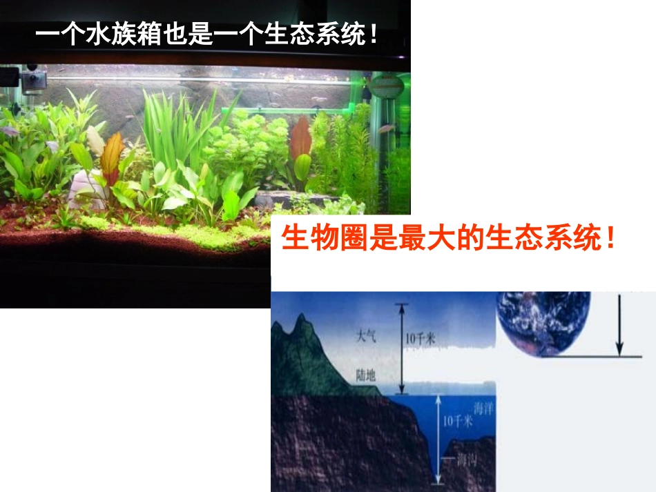 《生态系统》PPT课件_第3页