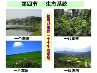 《生态系统》PPT课件