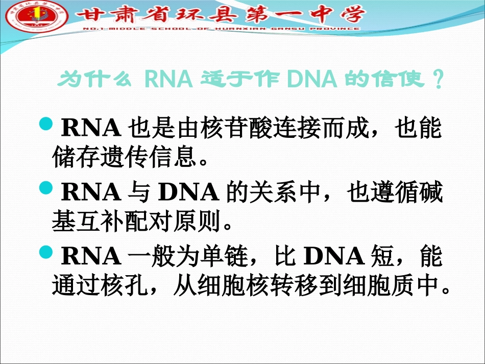 2017届基因的表达(一轮复习)_第2页