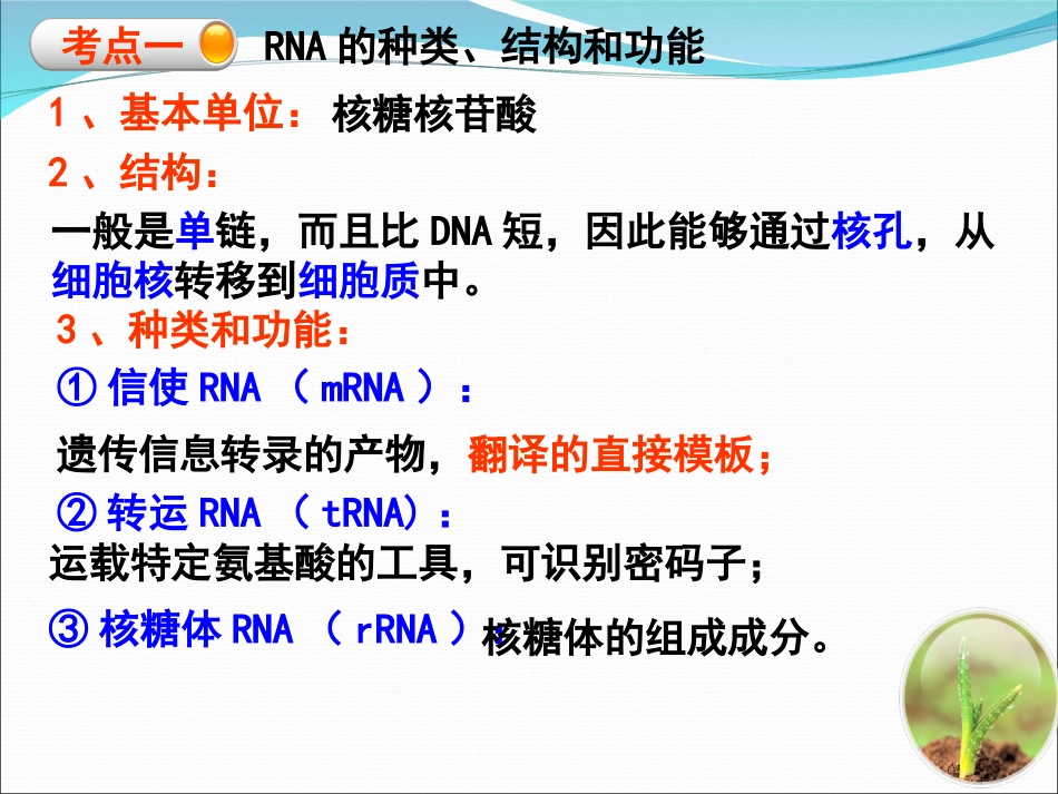 2017届基因的表达(一轮复习)_第3页