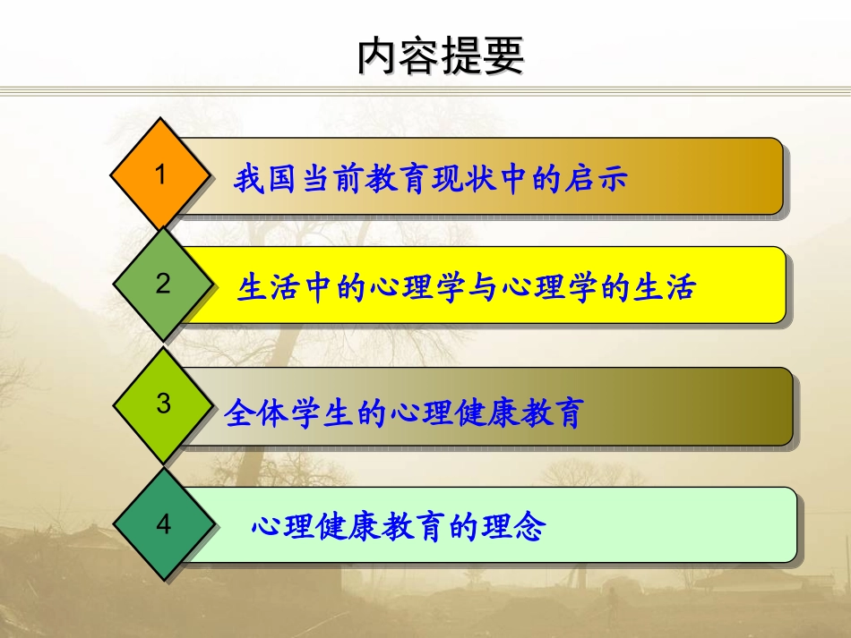 学校心理健康教育理念与实践_第3页