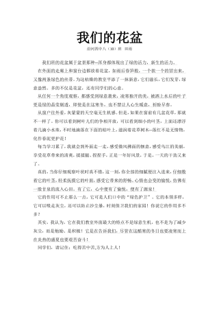 我们的花盆田雨