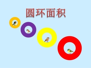 《圆环的面积》PPT