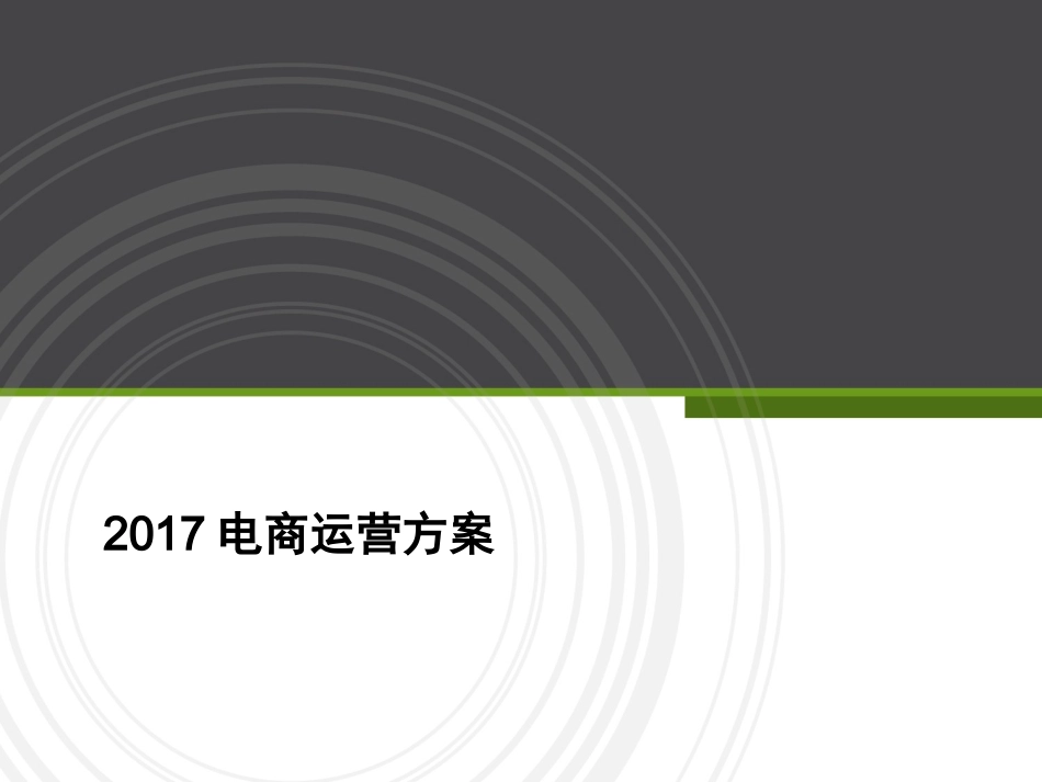 2017电商运营方案_第1页