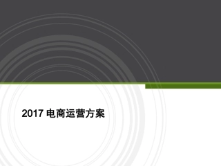 2017电商运营方案