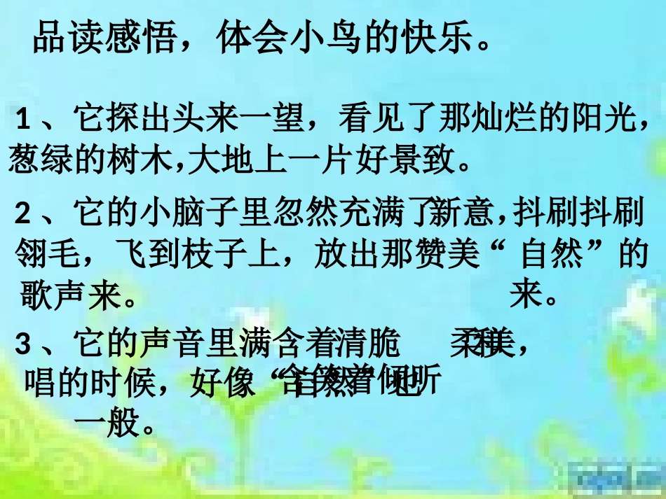 一只小鸟课件_第3页