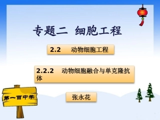 动物细胞融合与单克隆抗体