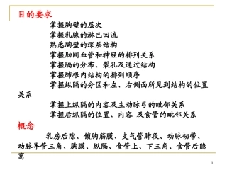 [局部解剖学]胸部