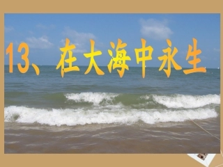 、在大海中永生