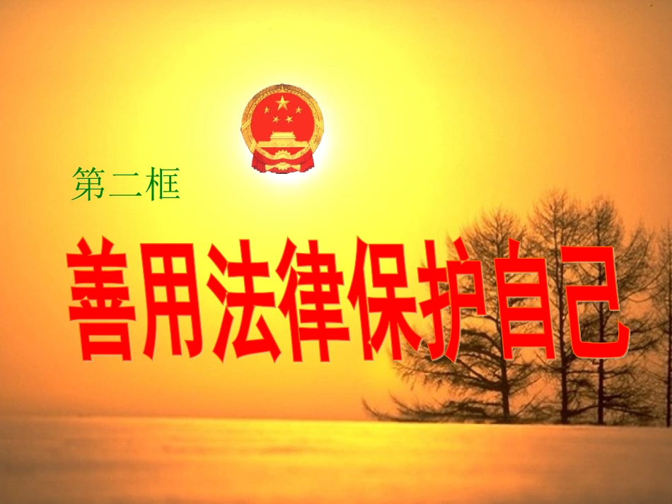 二、善用法律保护自己_第2页