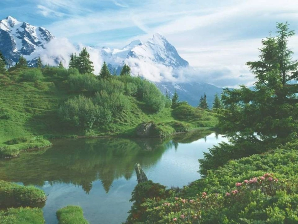 27答谢中书书优秀课件_第1页