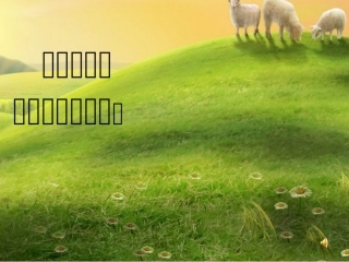 山坡哪儿去了 (2)