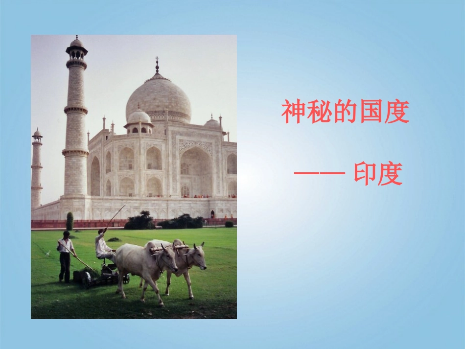 四年级语文下册印度王公的大米1课件鄂教版_第2页