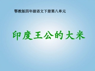 四年级语文下册印度王公的大米1课件鄂教版