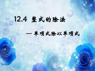 12.4.1整式的除法(单项式除以单项式)华师版