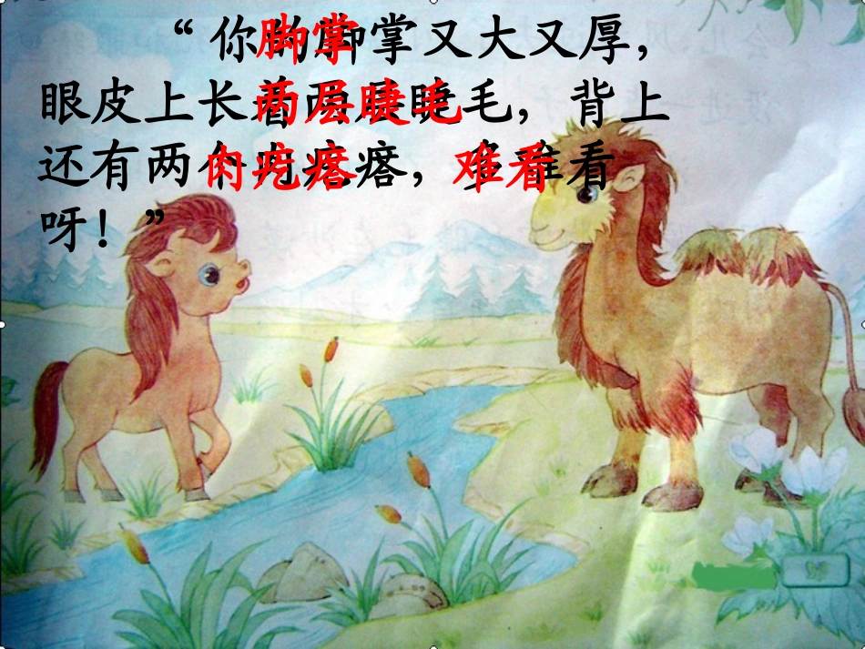 《我应该感到自豪才对》课件 (2)_第2页