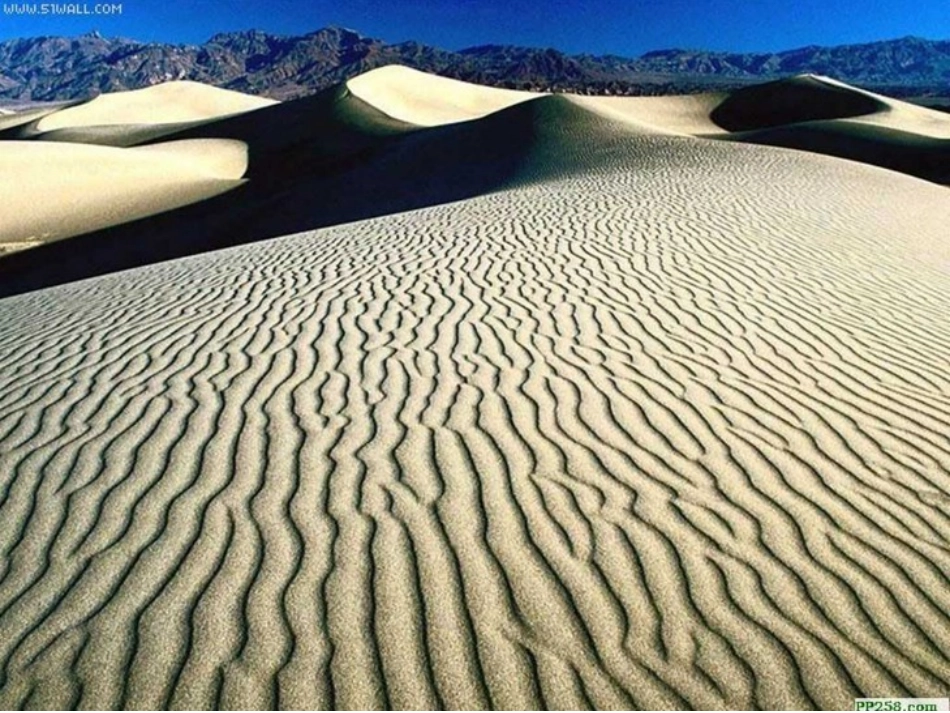 《我应该感到自豪才对》课件 (2)_第3页