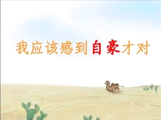 《我应该感到自豪才对》课件 (2)