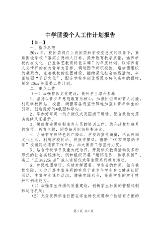中学团委个人工作计划报告