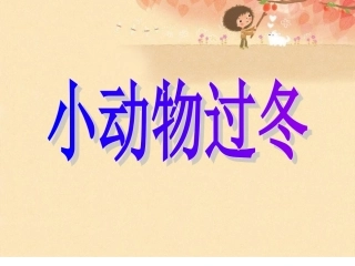 小动物过冬 (2)