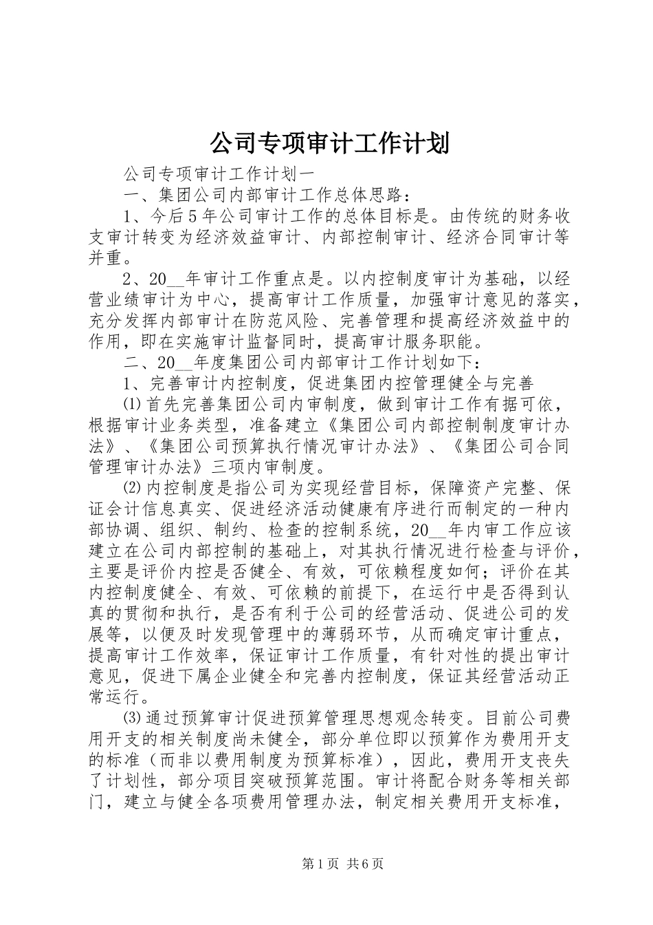 公司专项审计工作计划_第1页