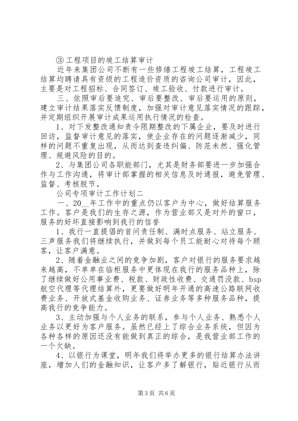 公司专项审计工作计划_第3页