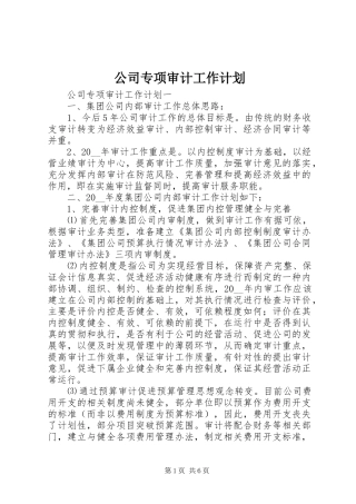 公司专项审计工作计划