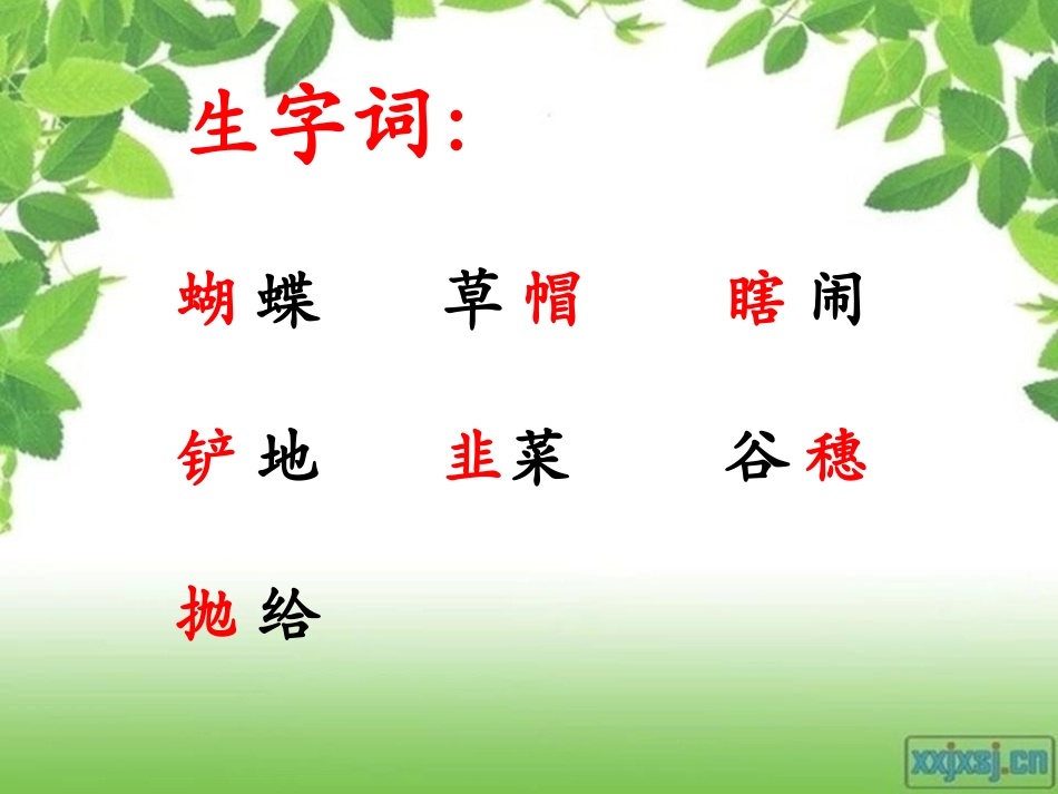 我和祖父的园子第一课时_第2页