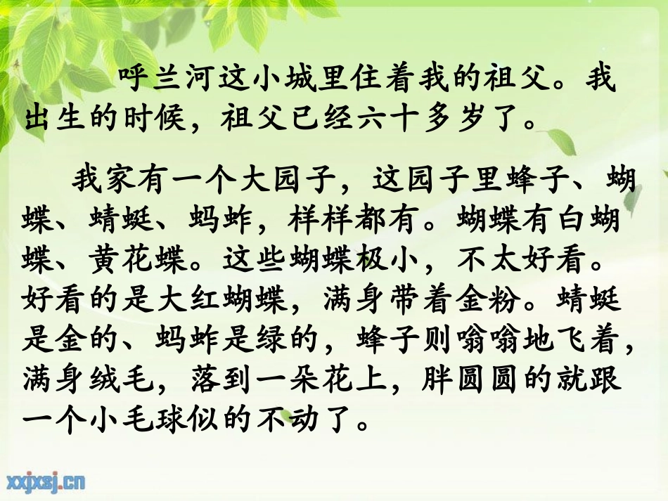 我和祖父的园子第一课时_第3页