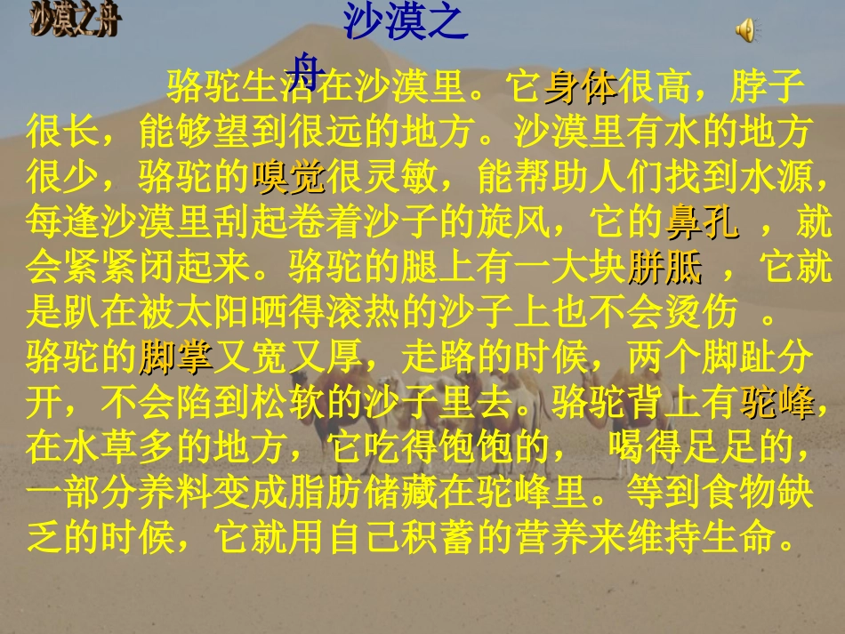 沙漠之舟 (2)_第3页