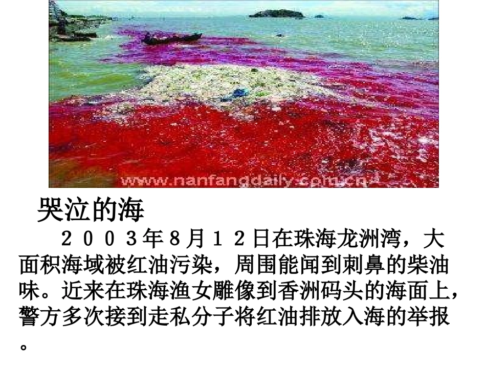 八年级语文敬畏自然_第2页