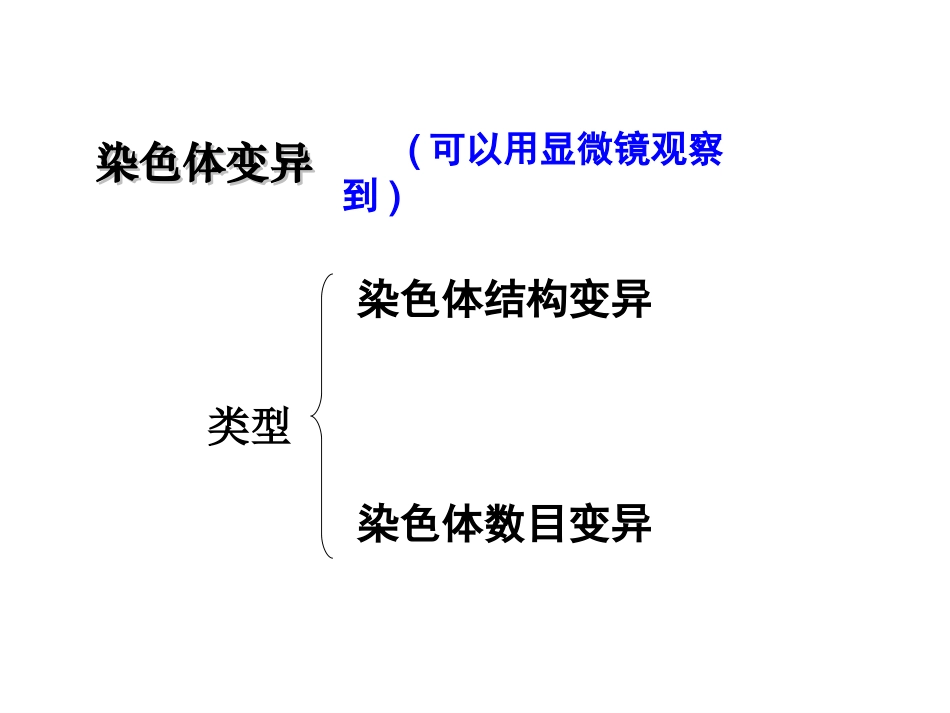 染色体变异公开课_第3页