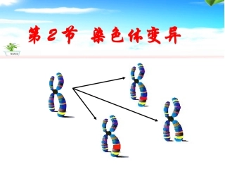 染色体变异公开课