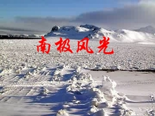 南极，一片净土