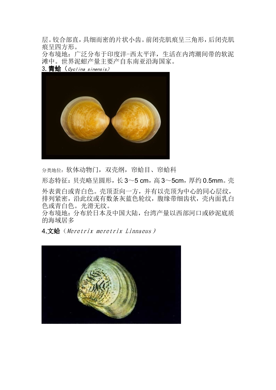 《100种海洋生物的介绍》_第2页