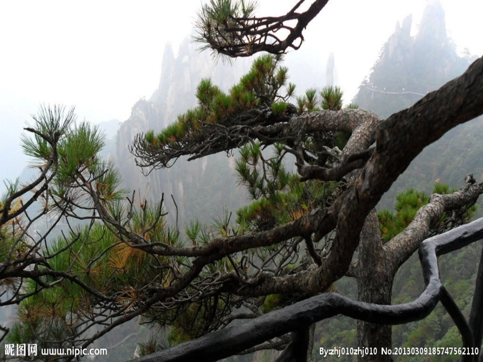 《去打开大自然绿色的课本》_第2页