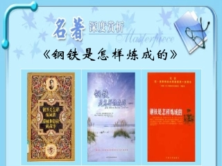 《钢铁是怎样炼成的》ppt课件