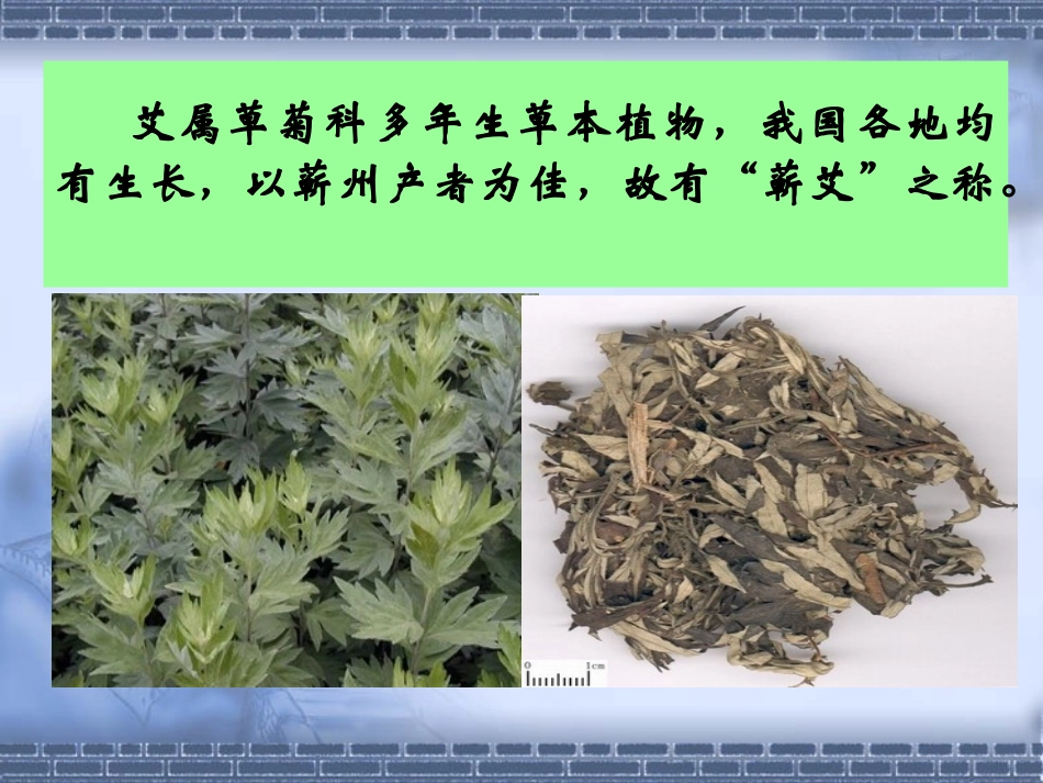 12艾灸疗法_第3页