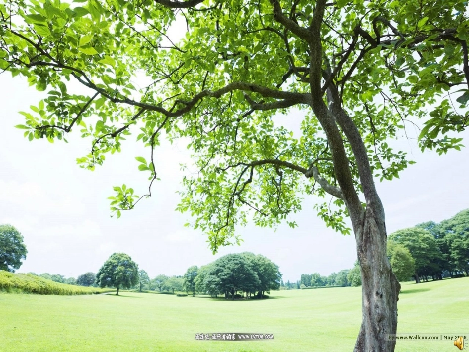 东方之珠 (2)_第1页