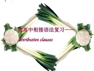 定语从句课件 (2)